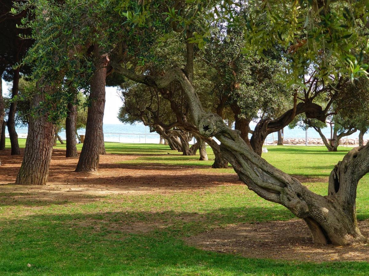Primera Linia De Mar, Zona Tranquila Apartment Cambrils Bagian luar foto